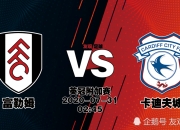 半岛体育娱乐-包含卡迪夫城与富勒姆打平，战绩持平的词条