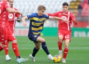 半岛体育vip注册-维罗纳主场惨败，保级形势雪上加霜的简单介绍