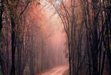 半岛体育登录-火箭队逆转乾坤，终结湖人队连胜之路，喜获荣耀巅峰！