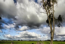 半岛体育在线登录-新西兰运动员勇往直前，夺取时光荣光