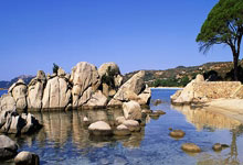 半岛体育链接-骑士队外线火力全开，连续三分助力球队迅速取胜的战术密码