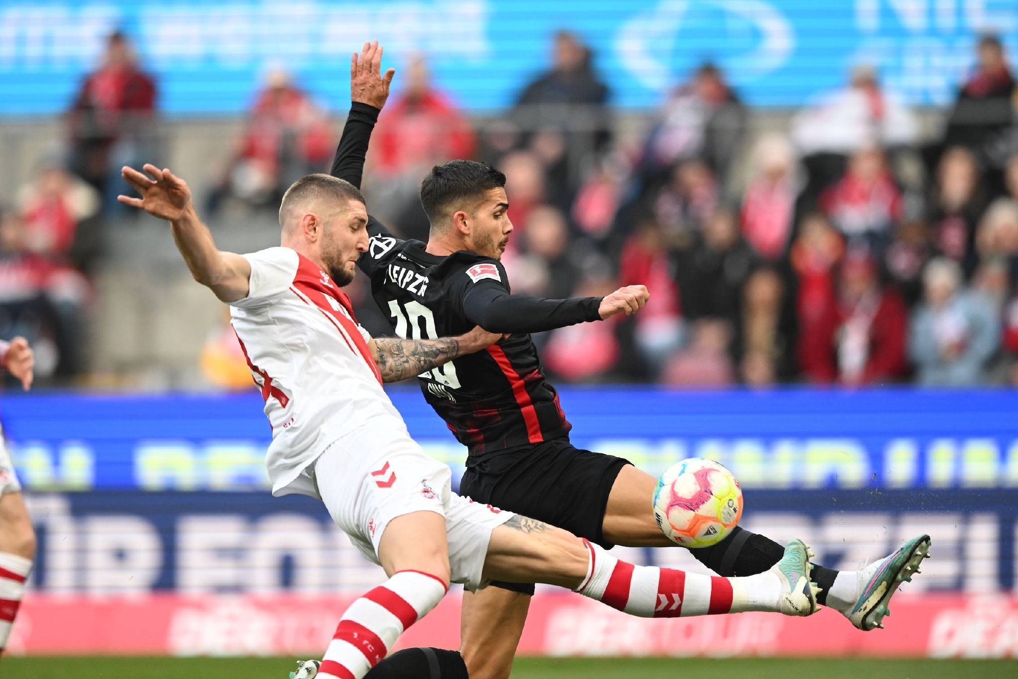 关于法兰克福球员集训备战杯赛，全员出战的信息