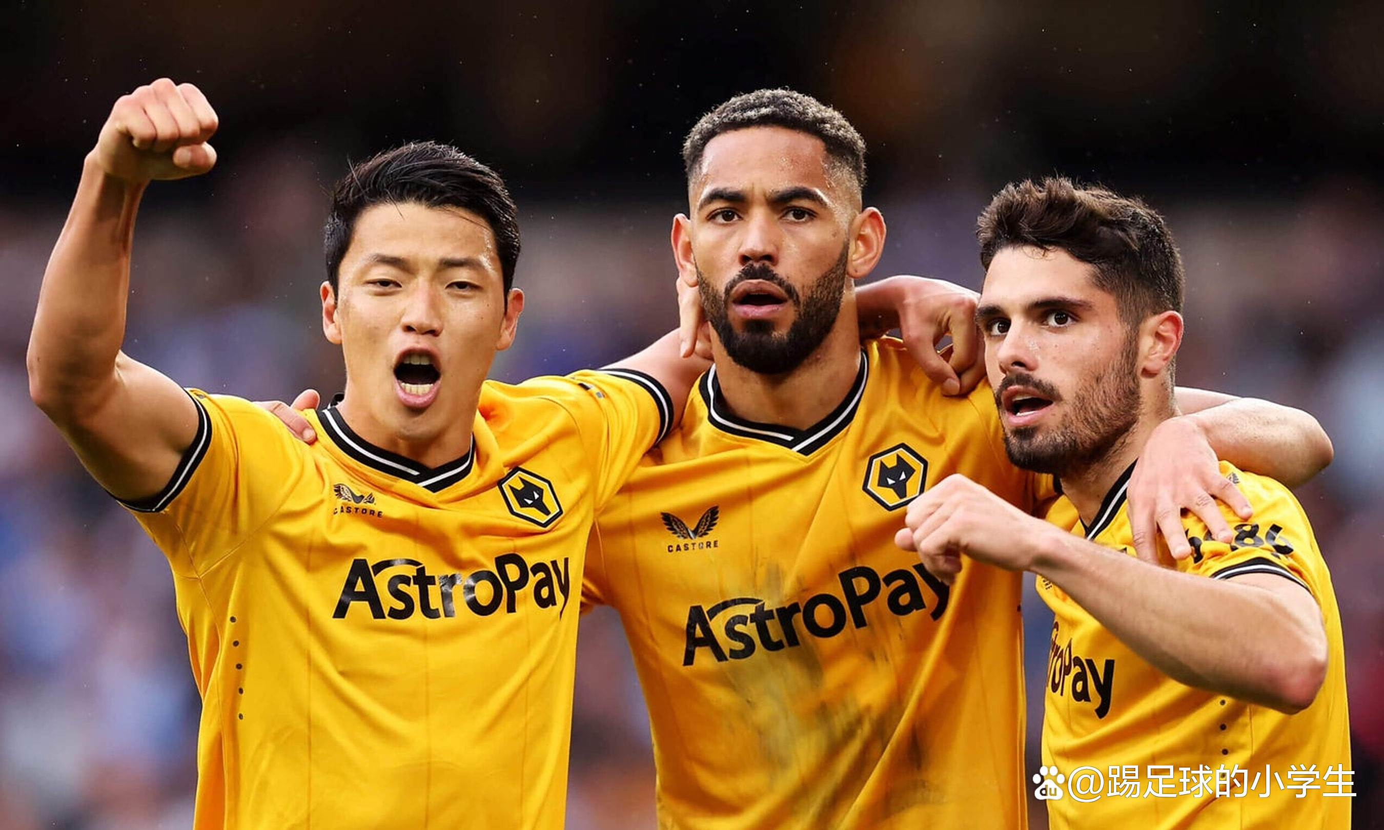 关于狼队主场大捷，球员表现出色受瞩目的信息